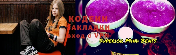 молекула духа Козловка