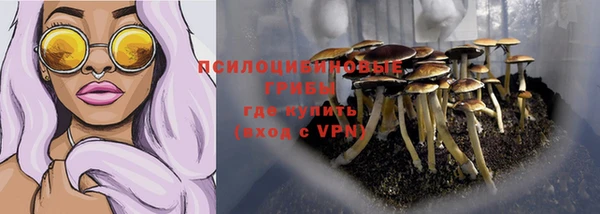 гидропоника Костерёво
