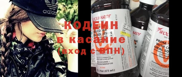 молекула духа Козловка