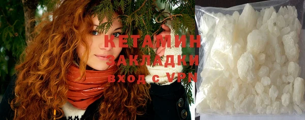 шишки Коряжма