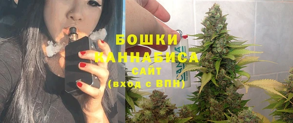 молекула духа Козловка