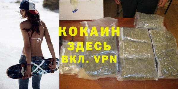 молекула духа Козловка