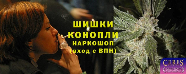 молекула духа Козловка